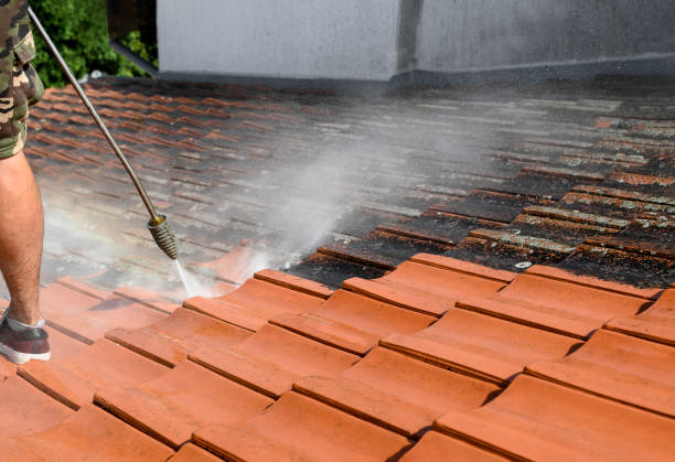 Best Roof Pressure Washing  in Cresskill, NJ